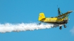 Grumman G-164A Ag-Cat